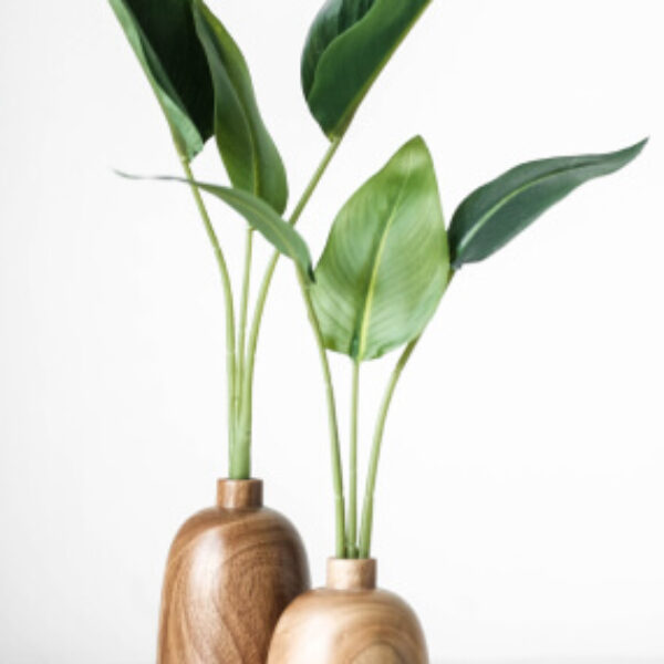 Wooden Vases